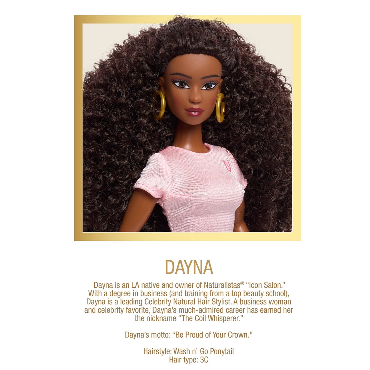 Naturalistas Dayna Icon Salon Playset